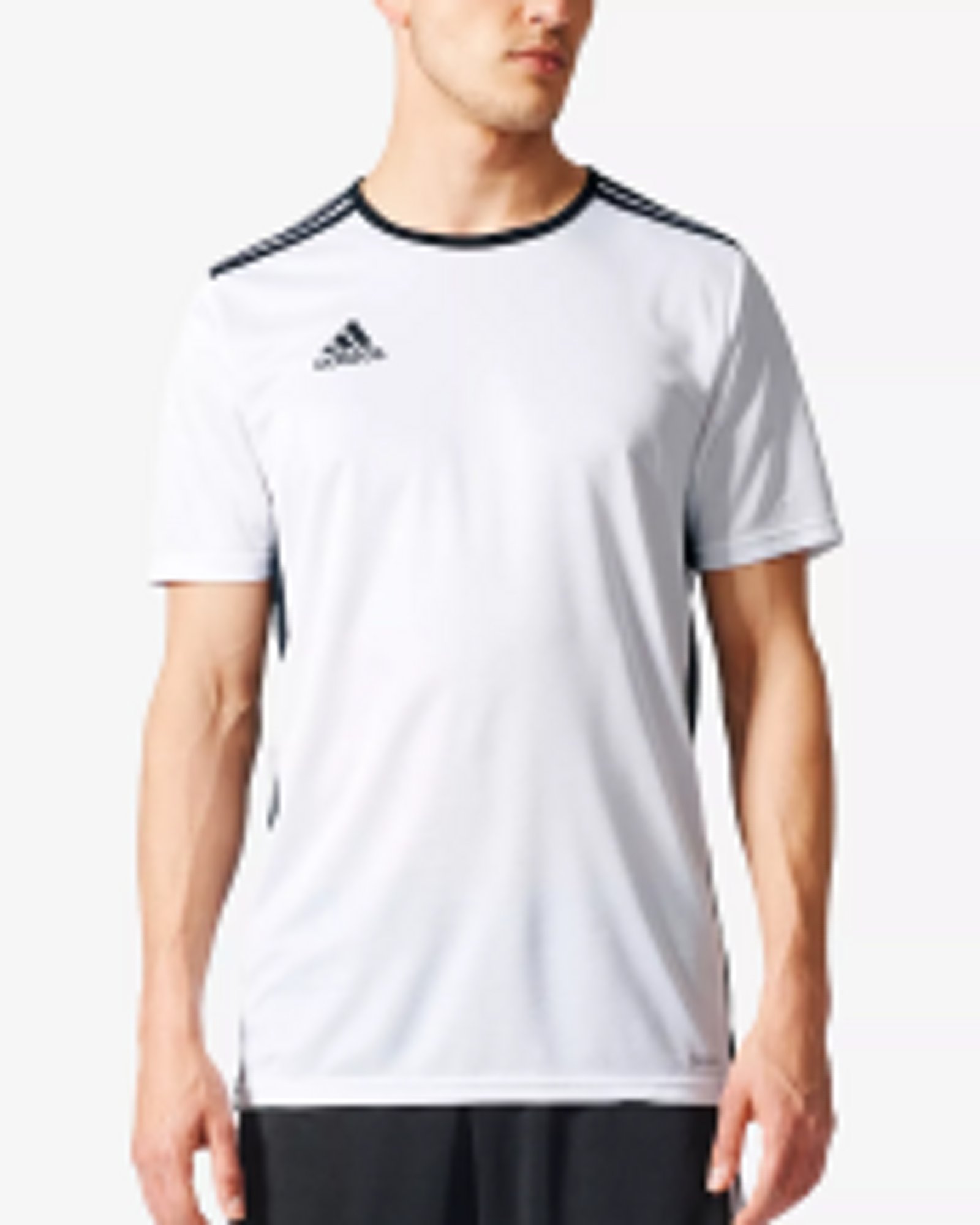 Tees