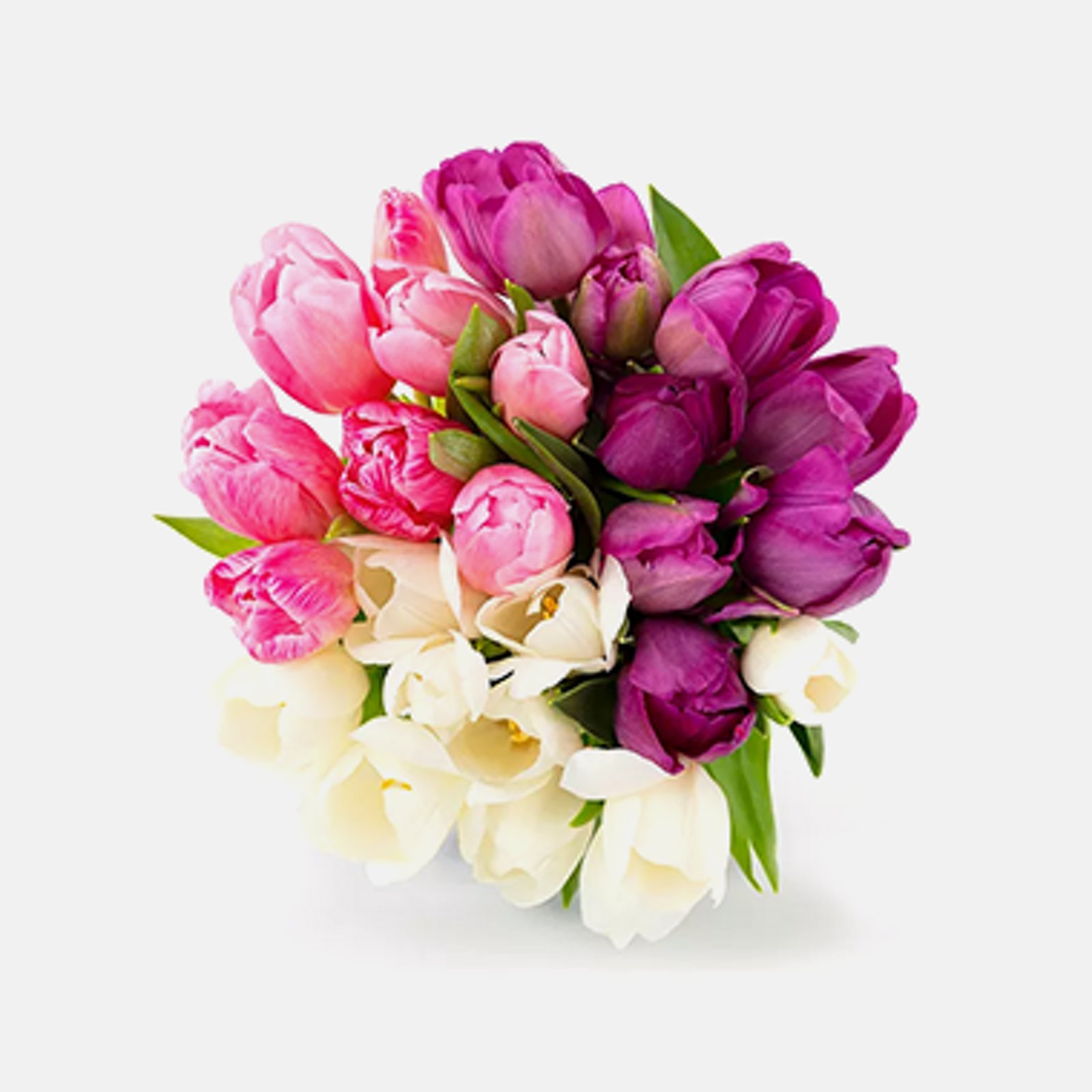 Fresh-Cut Flowers