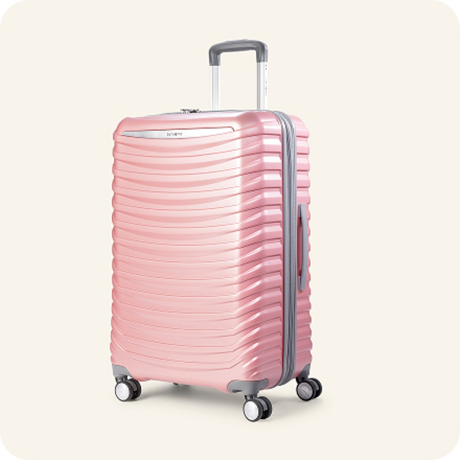 Luggage